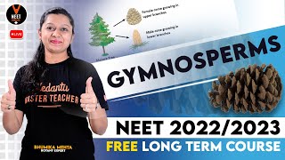 Gymnosperms  Plant Kingdom Class 11 Biology Chapter 3  NEET 2022  NEET Biology  Bhumika Maam [upl. by Ynney955]