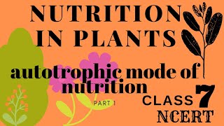 NUTRITION IN PLANTS  PART  1 Autotrophic Nutrition  Class 7  NCERT  ARTI MAAM [upl. by Peckham]