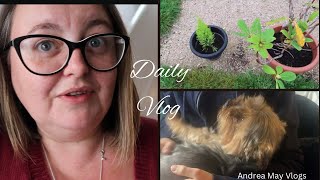 Chilled Out Sunday Gardening amp Visiting Maisy  Daily Vlog [upl. by Moonier]