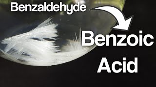 Synthesis of Benzoic acid from Benzaldehyde [upl. by Stieglitz585]