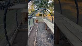 Off topic Cattle Panel Greenhouse Build [upl. by Cotter571]