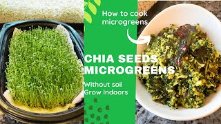 Grow Microgreens from Chia Seeds  Without Soil  Microgreens Spinach Stir fry Recipe [upl. by Nylle451]