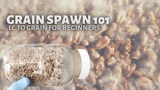 GRAIN SPAWN 101 Start to Finish Tutorial on How to Make Mushroom Grain Spawn from Liquid Culture [upl. by Braun753]