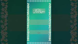 Surah AtTakathur Day of Jugment  Misahry Rashid quranmajeed [upl. by Lewison]