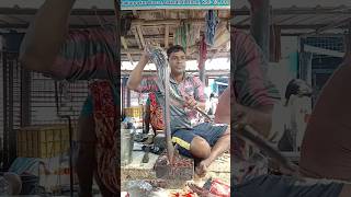 wallago Attu Catfish cutting process fish cutting Kolkatabiswajitcreation [upl. by Leola548]