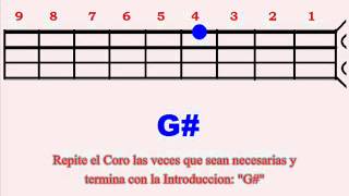 3° Eres Tu  Danilo Montero Tutorial Bajo  Bass [upl. by Azerila]