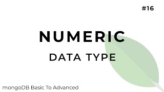 Numeric data types in mongoDB [upl. by Gaige18]