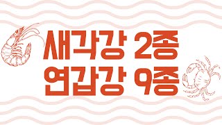 학습하기문강목과 생물분류기사 동물 11종 새각강2연갑강9 [upl. by Frida]