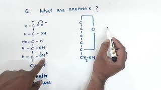 What are anomers give example Class 12 Biomolecule anomerismcyclic structure of glucose [upl. by Atinuj]