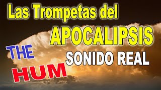 🎺 Las TROMPETAS del APOCALIPSIS The HUM Audio REAL  2020 [upl. by Frazier]