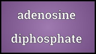 Adenosine diphosphate Meaning [upl. by Yancey]