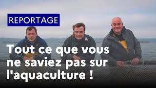 Tout ce que vous ne saviez pas sur laquaculture [upl. by Culberson]