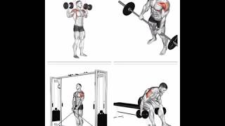 FLASH MUSCU 4 EXERCICES POUR MUSCLER SES EPAULES [upl. by Areid]