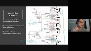 Introdução a Ecdysozoa [upl. by Icaj]