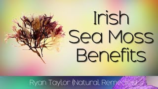 Irish Sea Moss Benefits and Uses [upl. by Ardnaet950]