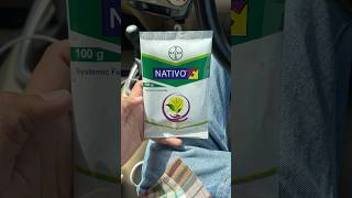 Bayer nativo 100gm  fungicide  Bayer fungicide farmer [upl. by Nodnahs]