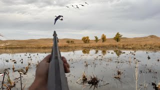 Duck Hunting Trip Day 1 Wigeon Down amp Epic Scouting Footage [upl. by Lombardo]