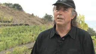 Entrevista con Joan Manuel Serrat en sus viñedos [upl. by Maudie]