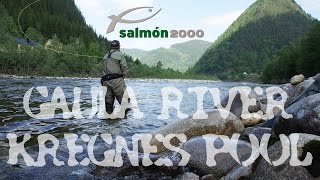 Salmon fly fishing in Kregnes Pool Norway [upl. by Dorweiler]