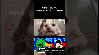 REAGINDO AO SUBMUNDO DA INTERNET gacha react shorts [upl. by Amato]