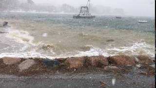 Surf at Ryders Cove Feb 13 2017 [upl. by Ilyse725]