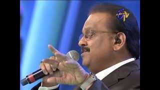 Swarabhishekam  SPBalasubrahmanyam Performance  Sarikotha Cheera Song  17th August 2014 [upl. by Llerod]