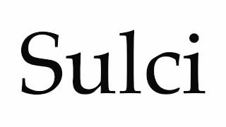 How to Pronounce Sulci [upl. by Fiorenza]