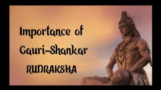 IMPORTANCE OF GAURISHANKAR RUDRAKSHA [upl. by Hein277]