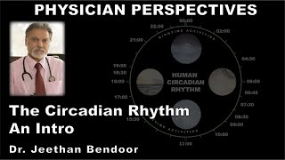 Physician Perspectives Circadian Rhythm – An Intro [upl. by Branen]