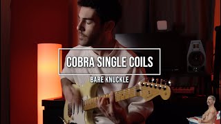 Cobra Single Coil Set PlayThrough with Keyan Houshmand [upl. by Wilt79]