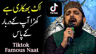 ik bhikari hai khara aap ke darbar ke paas Zohaib Ashrafi Naat  Tiktok famous naat sharif 2024 [upl. by Perreault763]