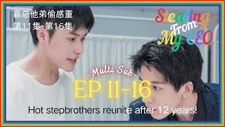 【EP11EP16】Stealing From My CEO Chinese BL series  ENG SUB｜Handsome stepbrothers finally reunite [upl. by Berti]