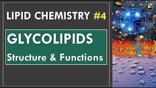 Glycolipids Lipid chemistry Part 4 Biochemistry [upl. by Nrehtac]