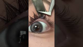 Half Lash  Eyelashes  Apply False Lashes eyelashes 1million how [upl. by Rivera753]