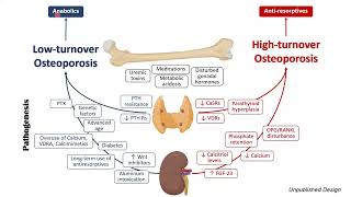 Management of Osteoporosis in CKD [upl. by Ennair]