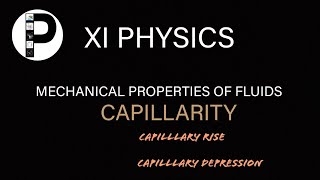 capillary rise MECHANICAL PROPERTIES OF FLUIDS NCERT XI Physics [upl. by Mattox]