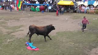 🔥CORRIDA DE TORO BRAVO 🔥 EMBISTE A TODO EL PUBLICO [upl. by Nosned]