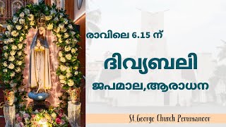 04102024  ROSARY HOLYMASS  StGeorge Church Perumanoor [upl. by Nidorf]