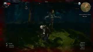 The Witcher 3  Contrato Senhor da Floresta [upl. by Shear]