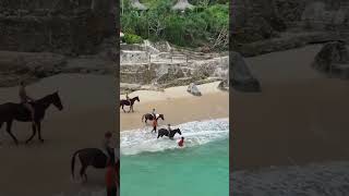 nihi sumba indonesia beautifulhotels luxuryresort horselover nihiwatu horseriding equine [upl. by Bornstein]