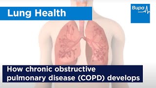 How chronic obstructive pulmonary disease COPD develops  Bupa Health [upl. by Durrett]