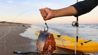 using big chunks of MEAT to catch sharks at the beach [upl. by Darlleen]