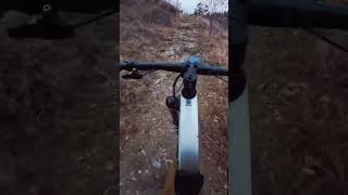 Harzer Hexentrail 🔥😱 harz trails mountainbike pov singletrack Werbung [upl. by Wendell]