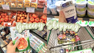 Grocery Shopping Anak Kost  Belanja Bulanan Eps 01✧･ﾟ✧ [upl. by Eagle]