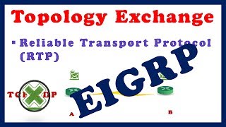 ✅ How Eigrp Exchange Topology Information in Hindi [upl. by Asilahs]