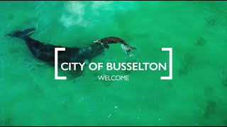 City of Busselton  Welcome [upl. by Ylrebmek462]