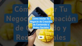 Cómo Iniciar Tu Negocio de Creación de Contenido y Redes Sociales [upl. by Atiram]