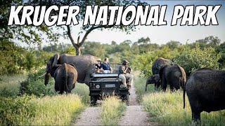 I Spent 24 Hours in Kruger National Park [upl. by Seuqirdor]