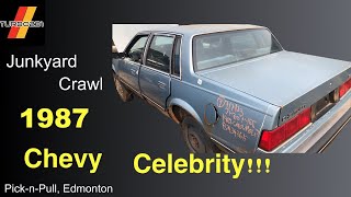 1987 Chevy Celebrity Junkyard Tour It lived a good lifebut wow I want an Iron Duke [upl. by Brigitta806]