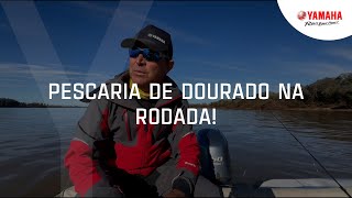 PESCARIA DE DOURADO NA RODADA  DicaYamaha com Johnny Hoffmann [upl. by Eddra]